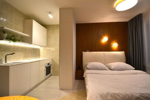 predaj-1-izb-byt-kosice-stare-mesto-strojarenska-radnica-3