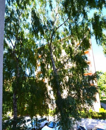 predaj-3-izb-byt-kosice-sever-slovenskej-jednoty-20