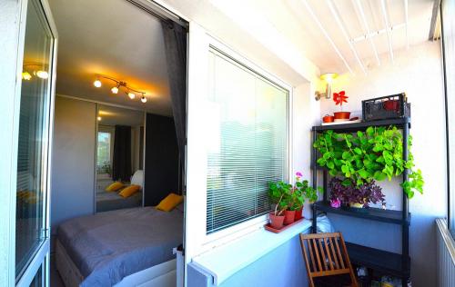 predaj-4-izb-byt-kosice-furca-kpt-jarosa-19